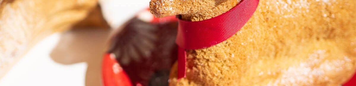 Ostern im Elsass – Rezept für Lamala (mit oder ohne Gluten) 1 rezept-lamala-alsace