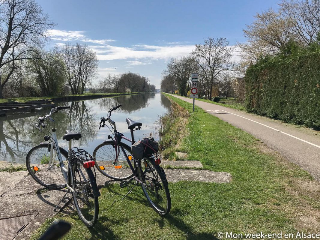 Von Straßburg nach Colmar mit dem Fahrrad auf der Rheinroute (Eurovélo 15)