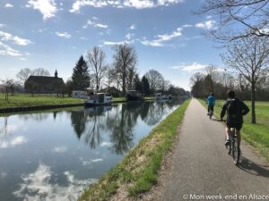 velo-canal-rhone-rhin