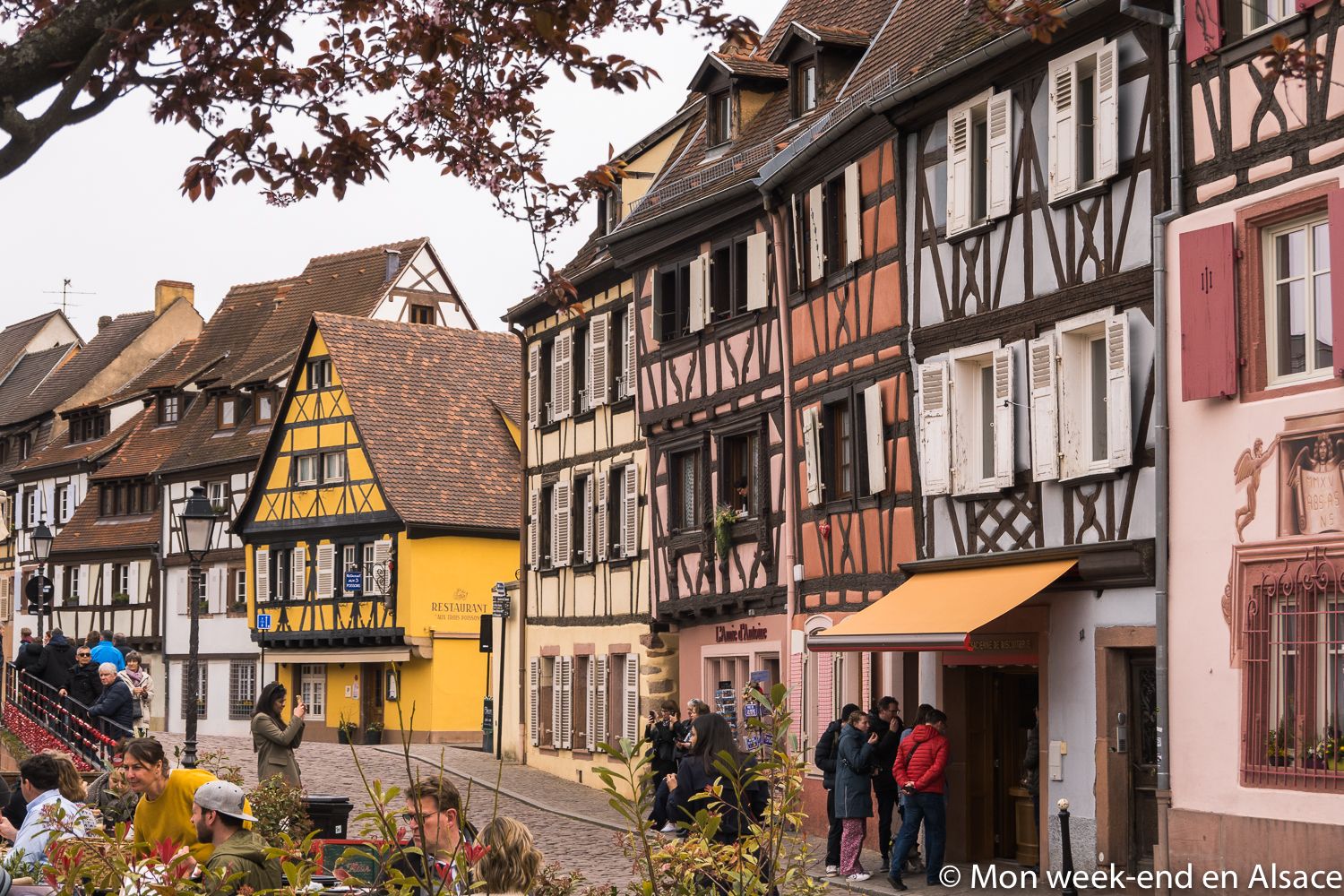 colmar-quai-poissonnerie
