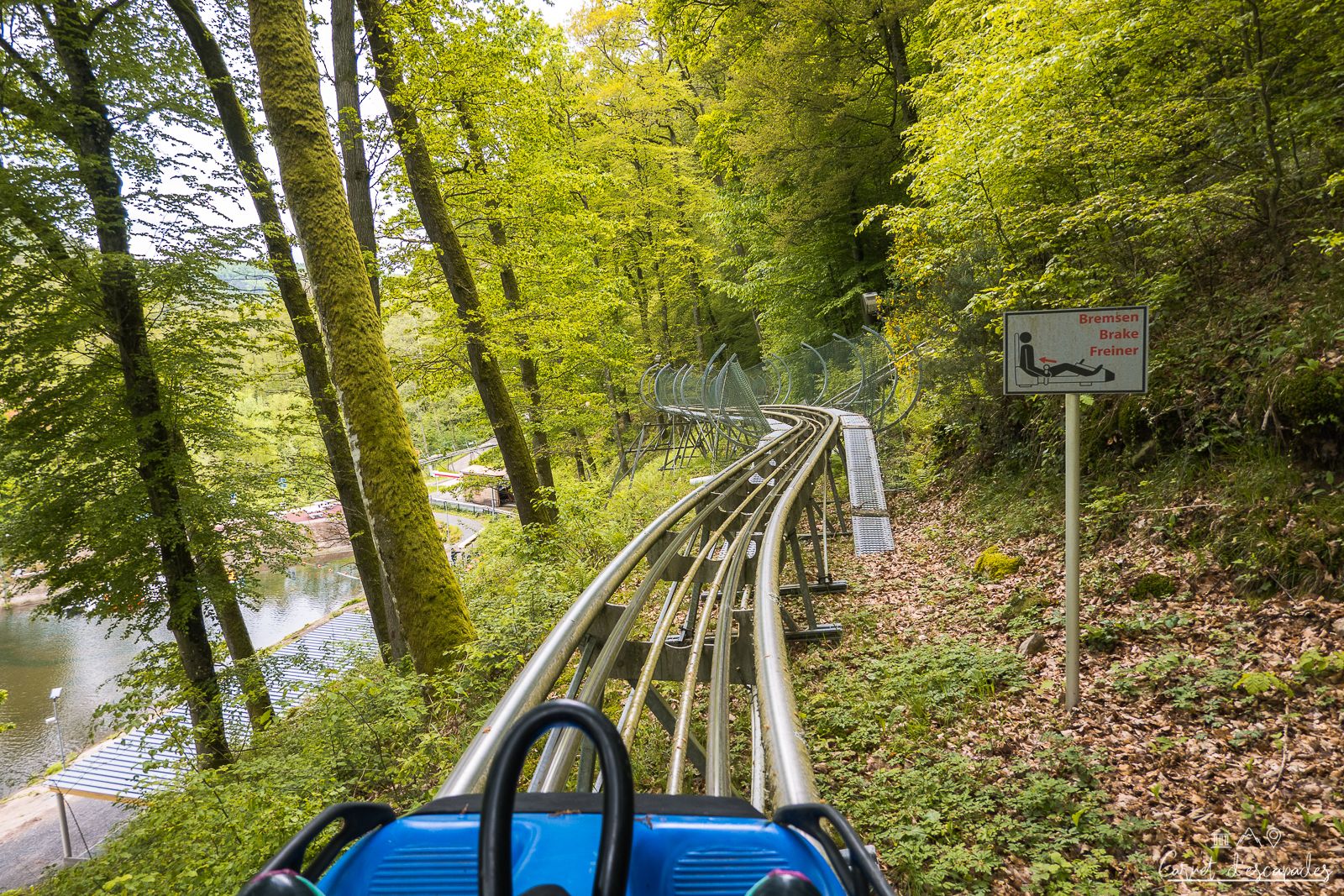 Luxus Rodelbahn Im Zauberwald Bild