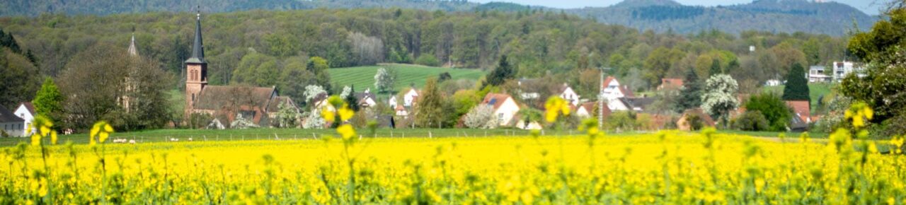Blick auf das Dorf Climbach im Elsass