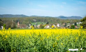 Blick auf das Dorf Climbach im Elsass