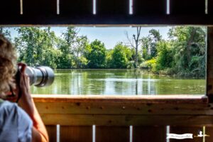 Fotografin in einem Observatorium in der Petite Camargue im Elsass